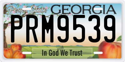 GA license plate PRM9539