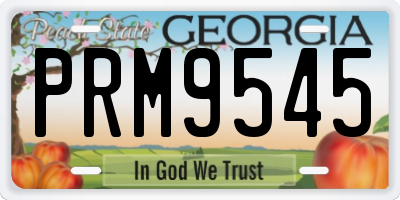 GA license plate PRM9545