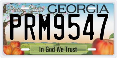 GA license plate PRM9547