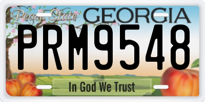 GA license plate PRM9548