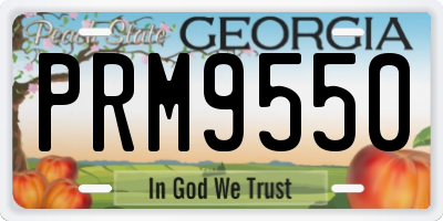 GA license plate PRM9550
