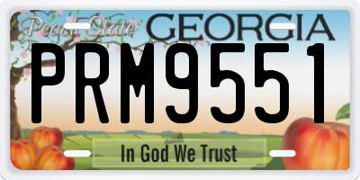 GA license plate PRM9551