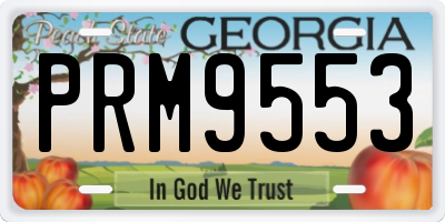 GA license plate PRM9553