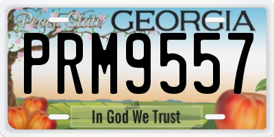 GA license plate PRM9557
