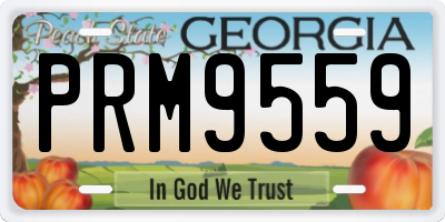 GA license plate PRM9559