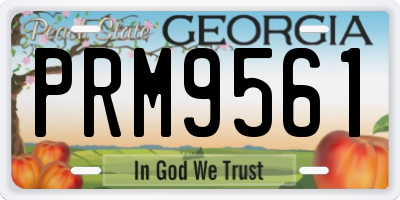 GA license plate PRM9561