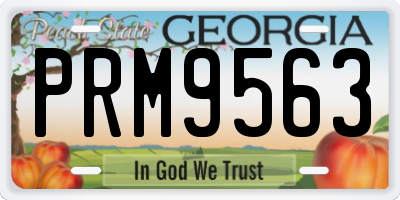 GA license plate PRM9563