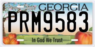GA license plate PRM9583