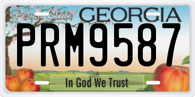 GA license plate PRM9587