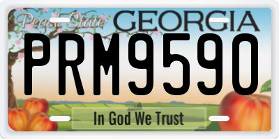GA license plate PRM9590