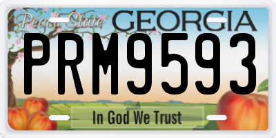 GA license plate PRM9593