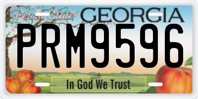 GA license plate PRM9596