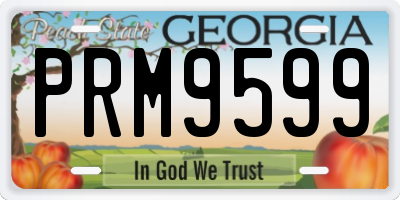 GA license plate PRM9599