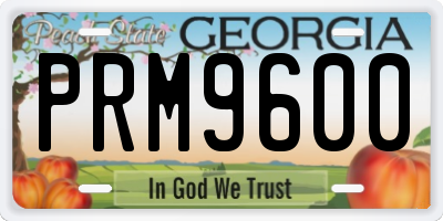 GA license plate PRM9600
