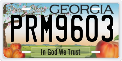 GA license plate PRM9603