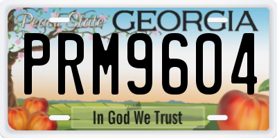 GA license plate PRM9604