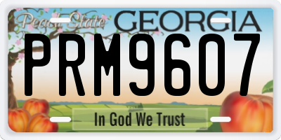 GA license plate PRM9607