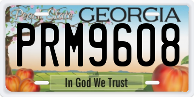 GA license plate PRM9608
