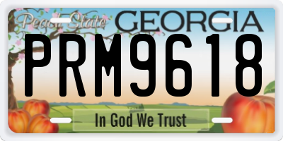 GA license plate PRM9618