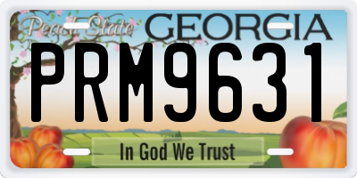 GA license plate PRM9631