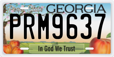 GA license plate PRM9637