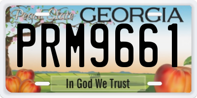 GA license plate PRM9661