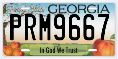 GA license plate PRM9667