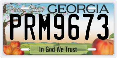 GA license plate PRM9673