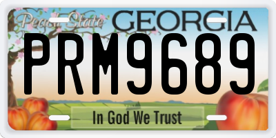 GA license plate PRM9689