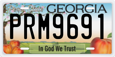 GA license plate PRM9691