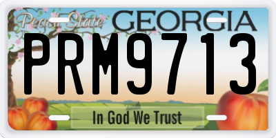 GA license plate PRM9713