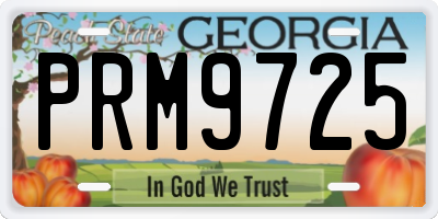 GA license plate PRM9725