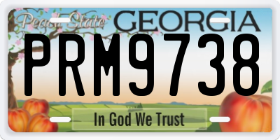 GA license plate PRM9738