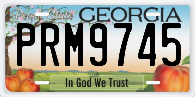 GA license plate PRM9745