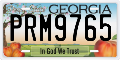 GA license plate PRM9765
