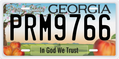 GA license plate PRM9766