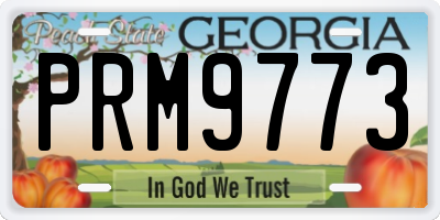 GA license plate PRM9773
