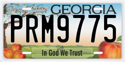 GA license plate PRM9775