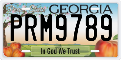 GA license plate PRM9789