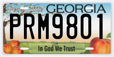 GA license plate PRM9801