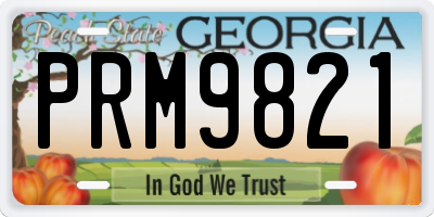 GA license plate PRM9821