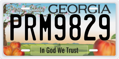 GA license plate PRM9829