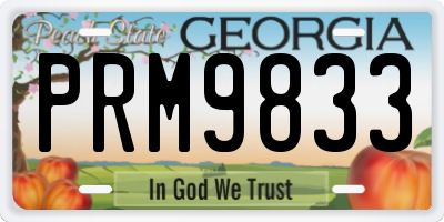 GA license plate PRM9833