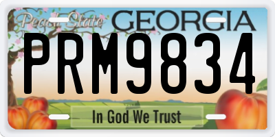 GA license plate PRM9834
