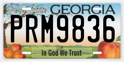 GA license plate PRM9836