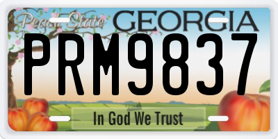 GA license plate PRM9837
