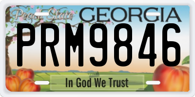 GA license plate PRM9846