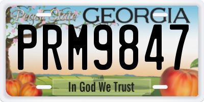 GA license plate PRM9847