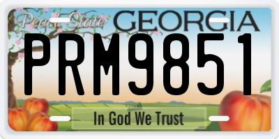 GA license plate PRM9851