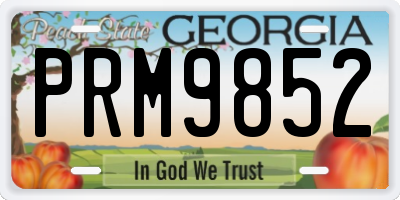 GA license plate PRM9852